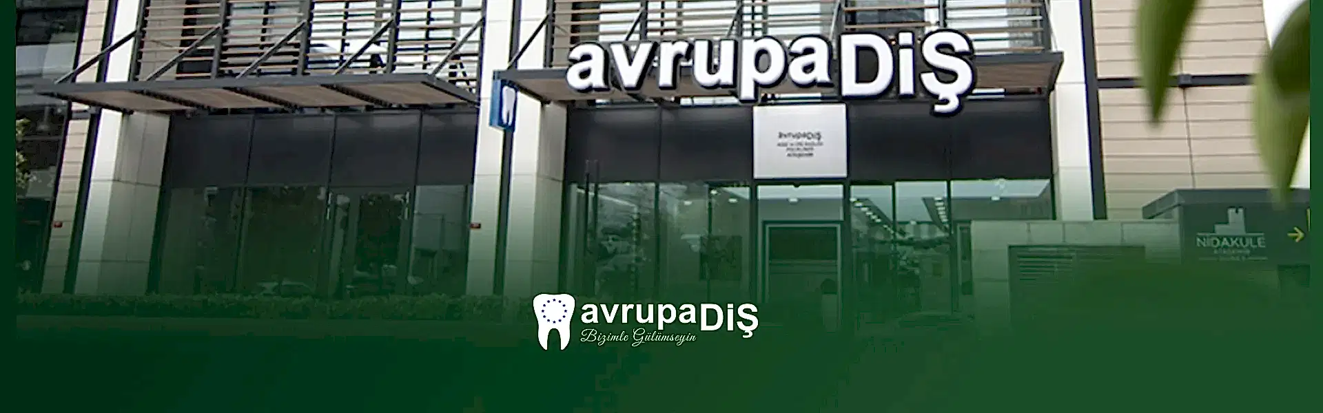 Avrupa DİŞ