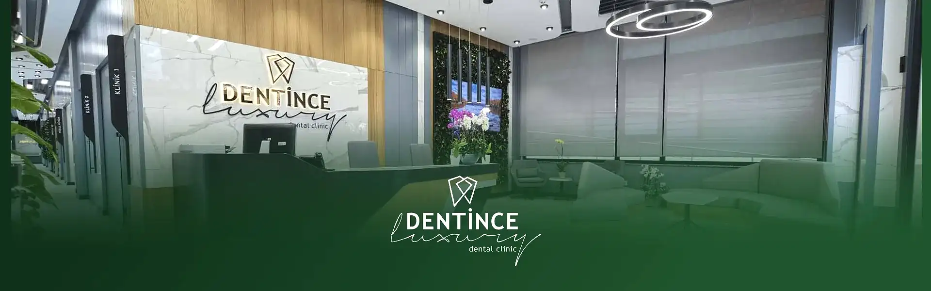 Dentince