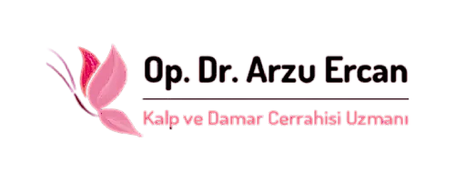 arzu ercan