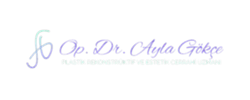 ayla gökçe