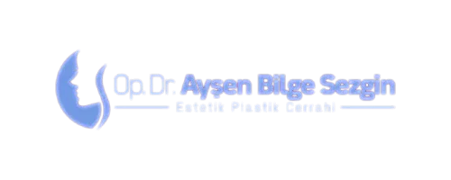 ayşen bilge sezgin