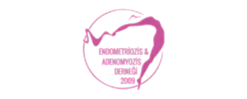 endometriozis derneği