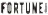 Fortune