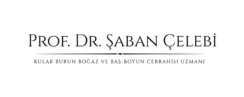 şaban çelebi